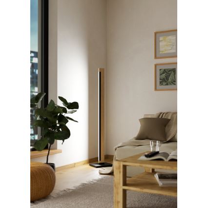 Eglo - LED Pritemdomas jutiklinis toršeras CAMACHO LED/22W/230V