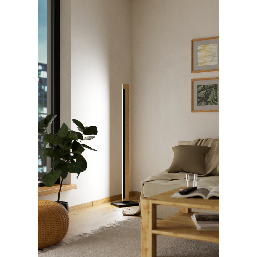 Eglo - LED Pritemdomas jutiklinis toršeras CAMACHO LED/22W/230V