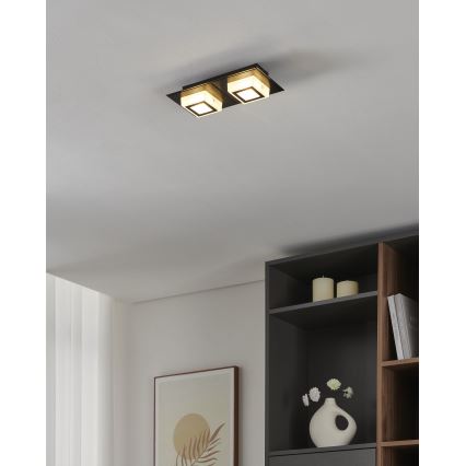 Eglo 99362 - LED lubinis šviestuvas MASIANO 2xLED/3,3W/230V