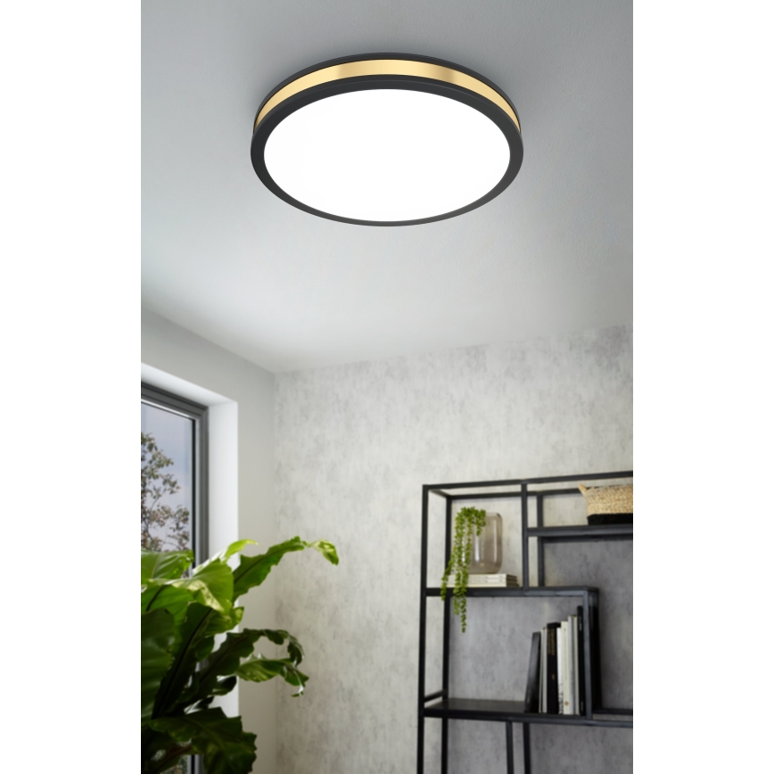 Eglo - LED lubinis šviestuvas LED/24W/230V