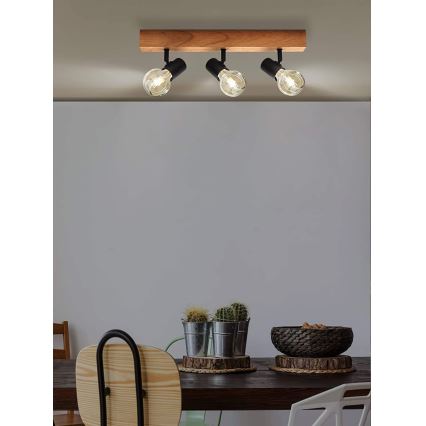 Eglo - Akcentinis apšvietimas TOWNSHEND 3xE27/60W/230V - FSC sertifikuota
