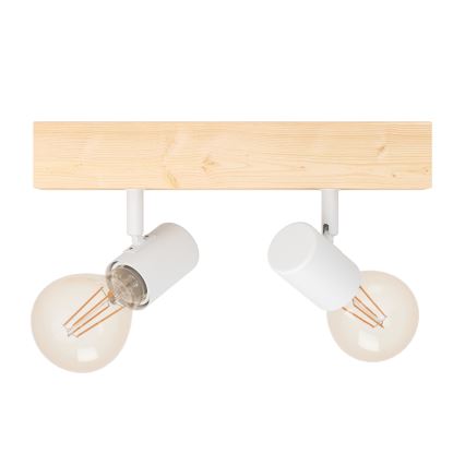 Eglo - Akcentinis apšvietimas TOWNSHEND 2xE27/60W/230V - FSC sertifikuota