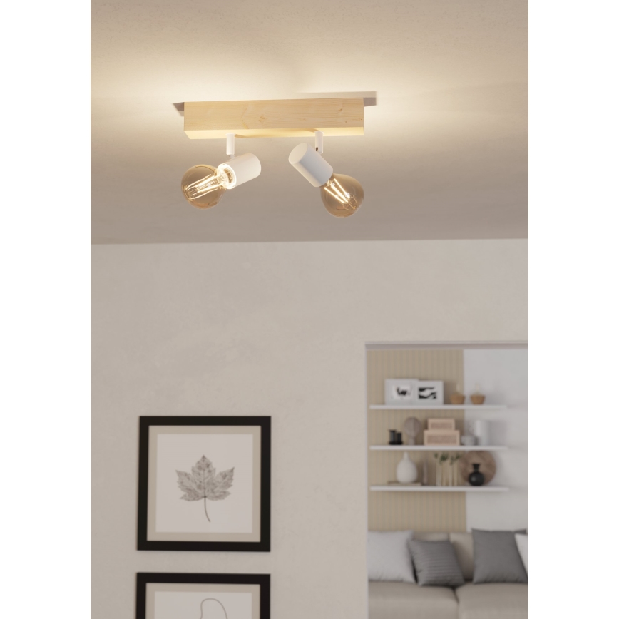 Eglo - Akcentinis apšvietimas TOWNSHEND 2xE27/60W/230V - FSC sertifikuota