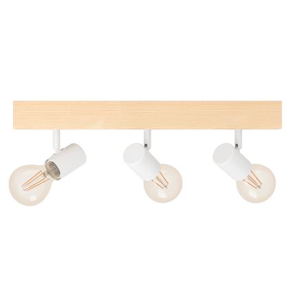Eglo - Akcentinis apšvietimas TOWNSHEND 3xE27/60W/230V - FSC sertifikuota