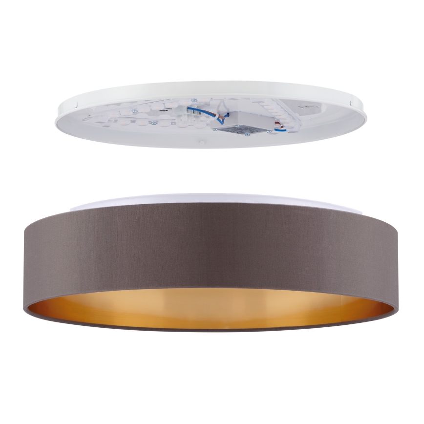 Eglo - LED lubinis šviestuvas LED/24W/230V