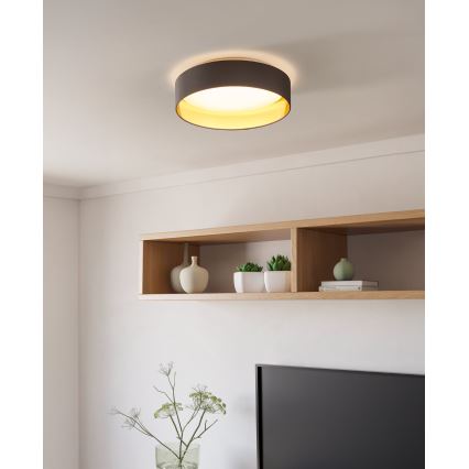 Eglo - LED lubinis šviestuvas LED/24W/230V
