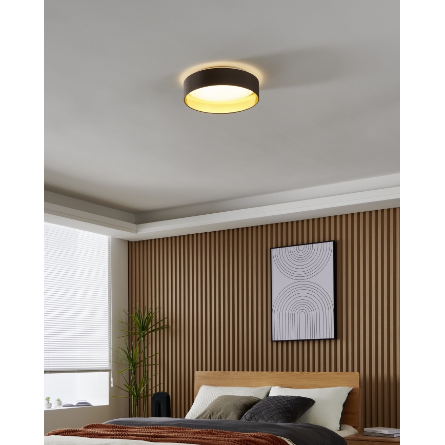 Eglo - LED lubinis šviestuvas LED/24W/230V