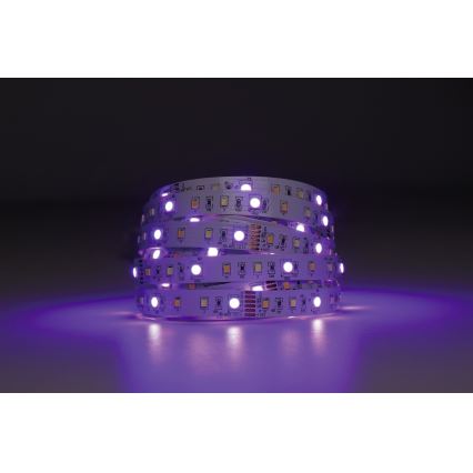 Eglo - LED RGBW reguliuojama juosta 5m LED/11W/12/230V 2700-6500K ZigBee