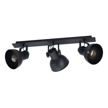 Eglo - Akcentinis apšvietimas 3xE27/40W/230V