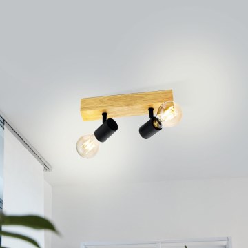 Eglo - Akcentinis apšvietimas TOWNSHEND 2xE27/60W/230V - FSC sertifikuota