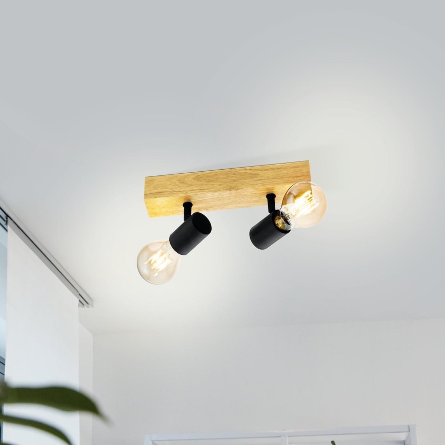 Eglo - Akcentinis apšvietimas TOWNSHEND 2xE27/60W/230V - FSC sertifikuota