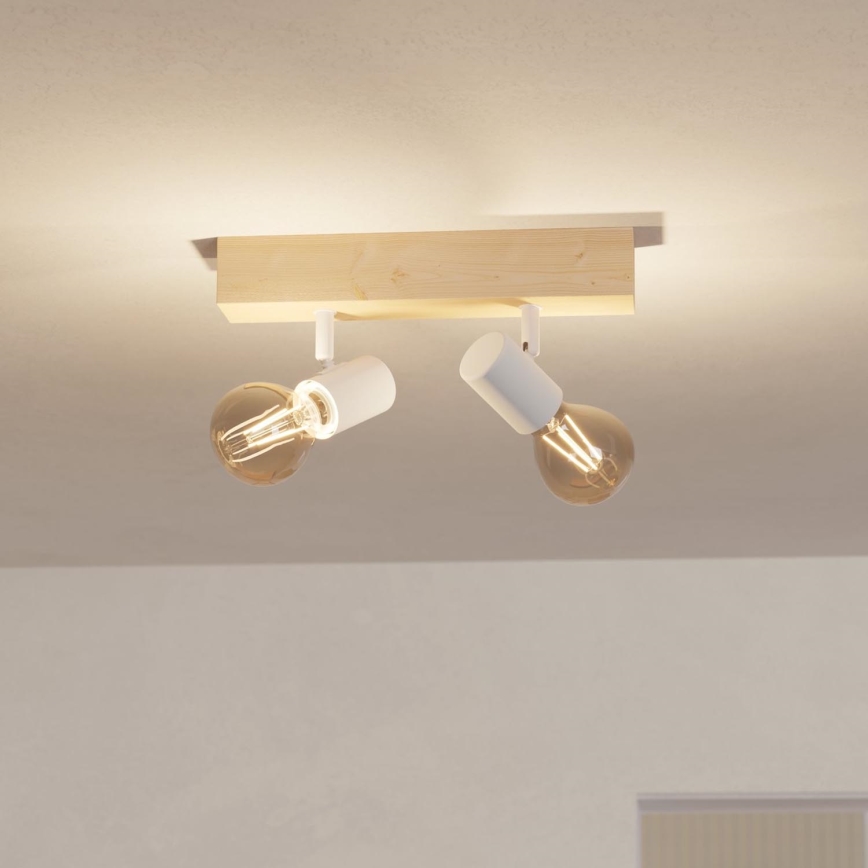 Eglo - Akcentinis apšvietimas TOWNSHEND 2xE27/60W/230V - FSC sertifikuota