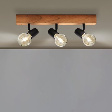 Eglo - Akcentinis apšvietimas TOWNSHEND 3xE27/60W/230V - FSC sertifikuota