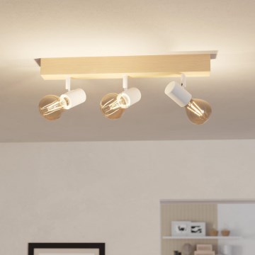 Eglo - Akcentinis apšvietimas TOWNSHEND 3xE27/60W/230V - FSC sertifikuota