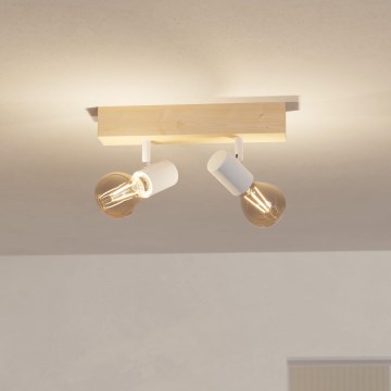 Eglo - Akcentinis šviestuvas TOWNSHEND 2xE27/60W/230V