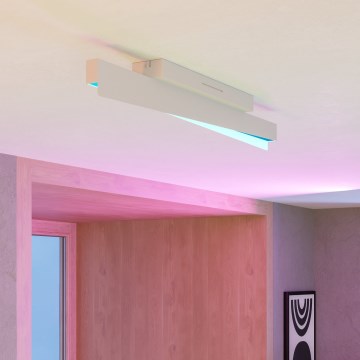 Eglo - Dimeriuojamas LED RGBW lubinis šviestuvas LED/13W/230V 2700-6500K pilkas