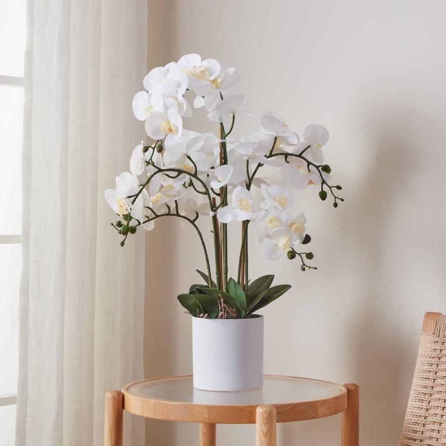 Eglo - Dirbtinis augalas vazone 65x50 cm orchidėja