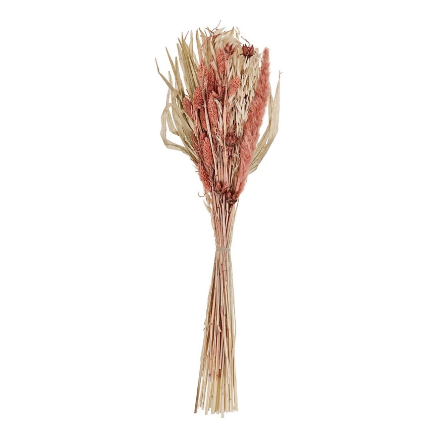 Eglo - Džiovinta gėlė 60 cm oranžinė