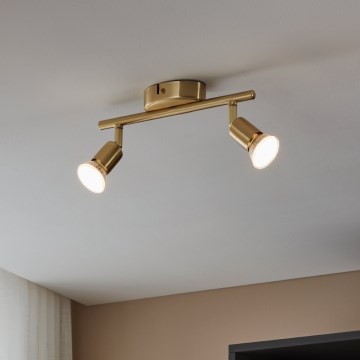 Eglo - LED akcentinis šviestuvas 2xGU10/2,8W/230V 3000K auksas