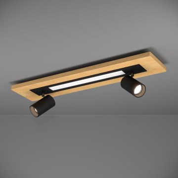 Eglo - LED Akcentinis šviestuvas LED/12W/230V + 2xGU10/4,5W