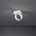Eglo - LED akcentinis šviestuvas LED/4,6W/230V 3000K