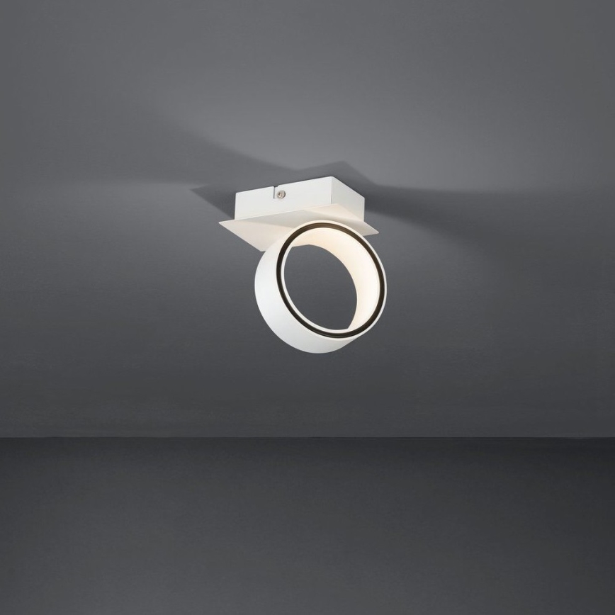 Eglo - LED akcentinis šviestuvas LED/4,6W/230V 3000K