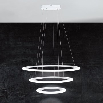 Eglo - LED dimeriu reguliuojamas pakabinamas šviestuvas ant laido LED/45W/230V + LED/33W + LED/19,5W