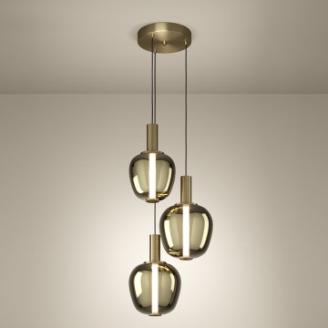 Eglo - LED Dimeriuojama liustra LED/5W/230V + 2xLED/6,5W + 3xLED/1,6W 2200-6500K auksinė