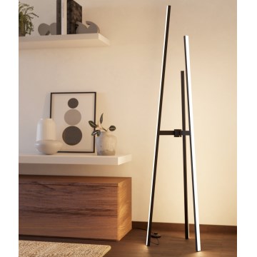 Eglo - LED grindinis šviestuvas LED/30W/230V juodas