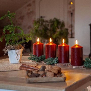 Eglo - LED Kalėdinė dekoracija LED/0,03W/2xAA