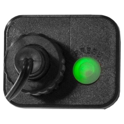 Eglo - LED lauko girlianda, 300 LED / 8 funkcijų, 11 m, IP44, daugiaspalvė