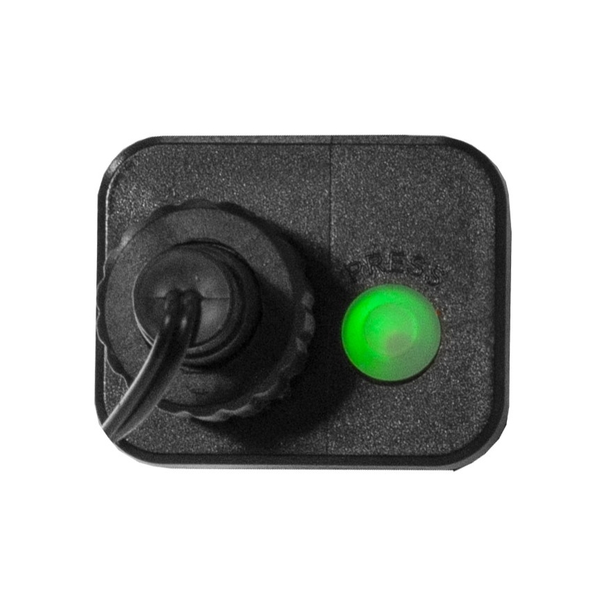 Eglo - LED lauko girlianda, 300 LED / 8 funkcijų, 11 m, IP44, daugiaspalvė