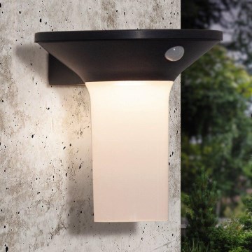 Eglo - LED lauko saulės šviestuvas su jutikliu 6xLED/0,03W/3,7V IP44