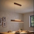 Eglo - LED liustra ant laido LED/17W/230V + LED/4,2W riešutas