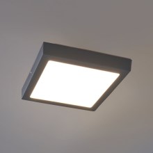 Eglo - LED lubinis lauko šviestuvas LED/22W IP44