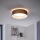 Eglo - LED lubinis šviestuvas 1xLED/12W/230V