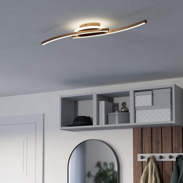 Eglo - LED lubinis šviestuvas LED/12W/230V 4000K varis