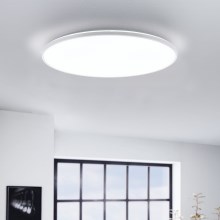 Eglo - LED Lubinis šviestuvas LED/29W/230V d. 50 cm