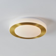 Eglo - LED Lubinis vonios šviestuvas LED/10,8W/230V IP44