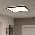 Eglo - LED lubinis vonios šviestuvas LED/17W/230V 2700/4000/6500K 50x50 cm IP44 juoda