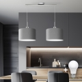 Eglo - LED Lubų šviestuvas ant laido TUNJA 2xE27/60W/230V pilka