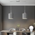 Eglo - LED Pakabinamas sietynas TUNJA 2xE27/60W/230V pilka