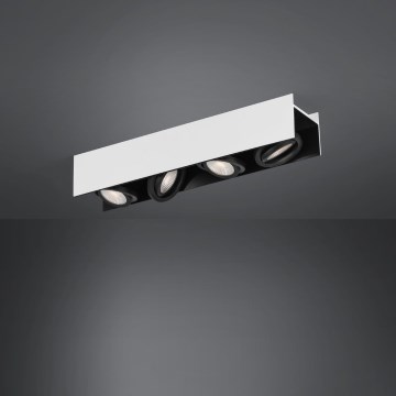 Eglo - LED pritemdomas akcentinis apšvietimas 4xLED/5,4W/230V
