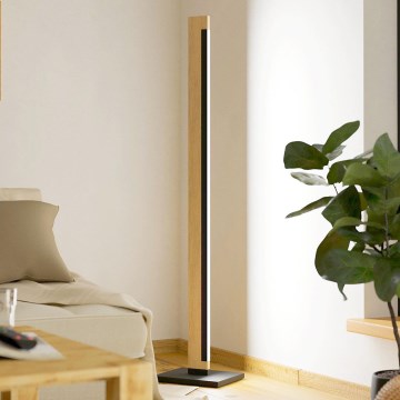 Eglo - LED Pritemdomas jutiklinis toršeras CAMACHO LED/22W/230V