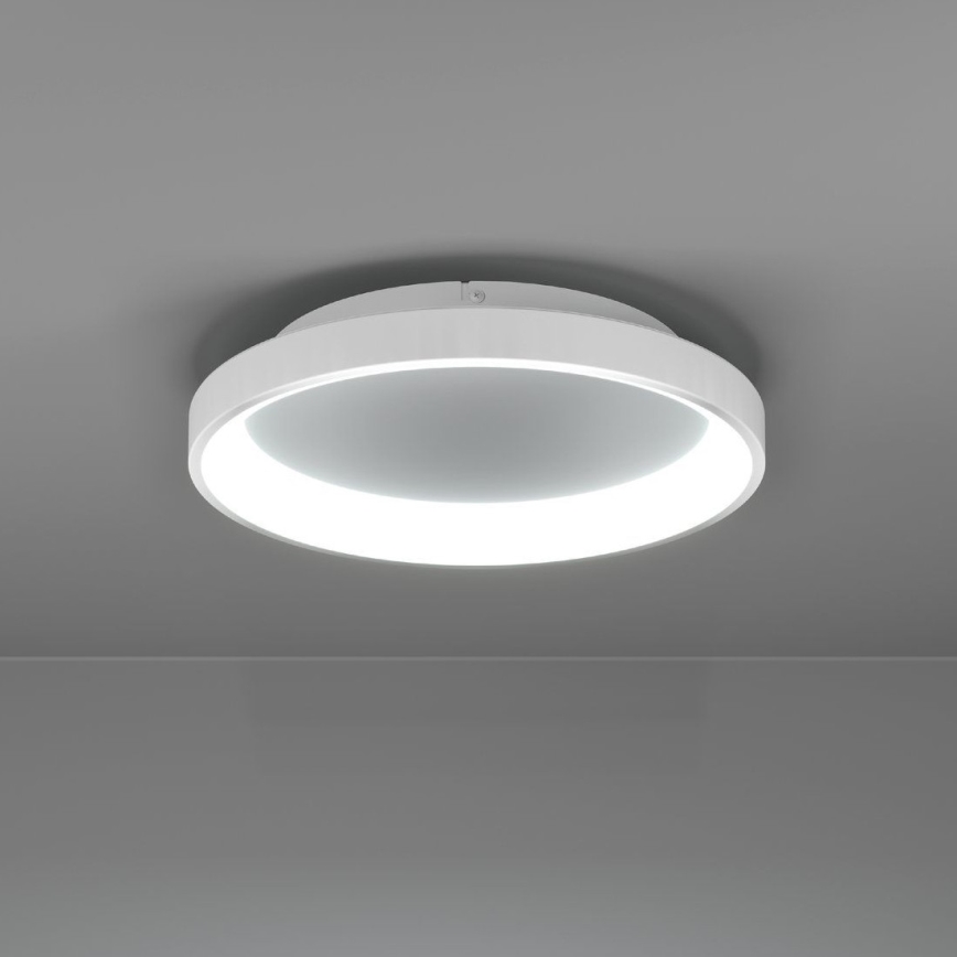 Eglo - LED Pritemdomas lubinis šviestuvas LED/12W/230V 2700-6500K balta + nuotolinio valdymo pultas