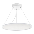 Eglo - LED pritemdomas sietynas, kabinamas ant virvės 1xLED/36W/230V