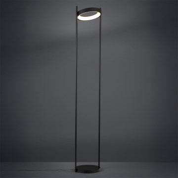 Eglo - LED pritemdomas toršeras LED/20W/230V 3000K juoda