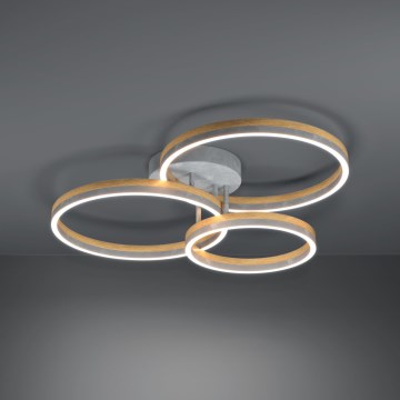 Eglo - LED Pritemdomas tvirtinamas sietynas LED/12,5W/230V + 2xLED/15,5W 3000K pilka/ąžuolas