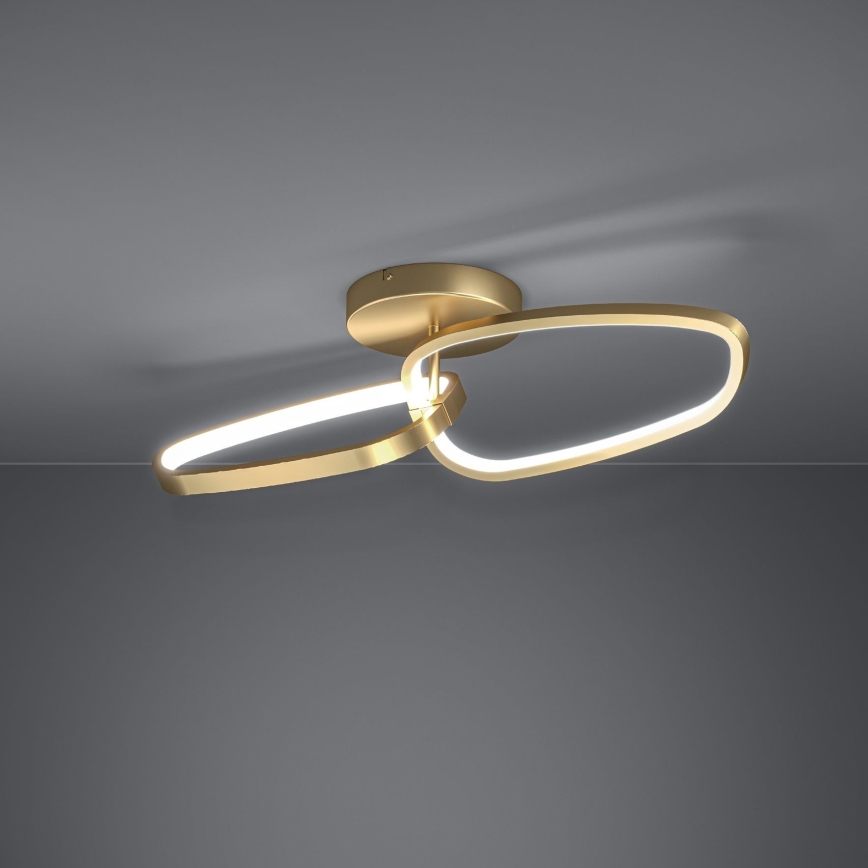 Eglo - LED Pritemdomas tvirtinamas sietynas LED/25W/230V 3000K auksas