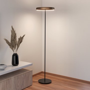 Eglo - LED reguliuojama grindinė lempa su judesio jutikliu 2xLED/19W/230V 2200-6500K ruda